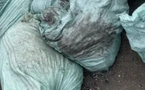 Hải Phòng: Kiểm tra 150 cơ sở kinh doanh, xử lý rác thải và bảo vệ môi trường