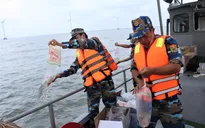 Bạc Liêu: Thả 4,2 triệu con tôm giống tái tạo nguồn lợi thủy sản