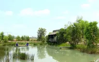 Trải nghiệm du lịch sinh thái thuận thiên