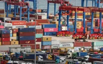 WTO: Tăng trưởng thương mại toàn cầu sẽ giảm tốc