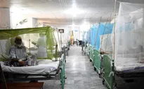 Gia tăng sốt xuất huyết do biến đổi khí hậu