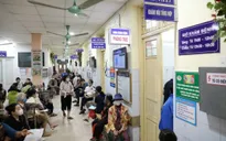 Năm 2023, nhiều bệnh truyền nhiễm tại Hà Nội tăng đột biến