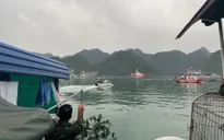 Kiến nghị điều tra vụ máy bay trực thăng rơi trên Vịnh Hạ Long