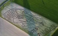 Khắc họa chân dung Picasso trên cánh đồng