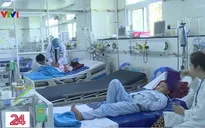 Gia tăng ca mắc sốt xuất huyết nặng tại Cần Thơ