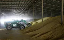 Ba Lan tạm ngừng nhập khẩu ngũ cốc của Ukraine