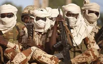80 người bị bắt cóc ở bang Zamfara của Nigeria