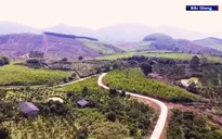 Học tập và làm theo gương Bác: Đảng viên gương mẫu đi đầu