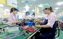 Thủ tướng yêu cầu tìm giải pháp hỗ trợ lao động mất việc