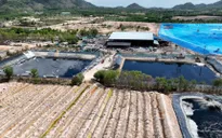 Bị phạt hơn 1 tỷ đồng, nhà máy xử lý rác lại xả thải trộm ra môi trường
