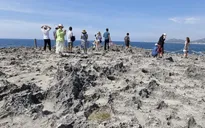 Ngày Quốc tế đa dạng sinh học (22/5): Thúc đẩy lối sống hài hòa với thiên nhiên