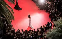 Cannes cấm các cuộc biểu tình dọc theo Croisette và khu vực xung quanh trong Liên hoan phim