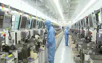 Samsung đầu tư vào thị trường bán dẫn Nhật Bản