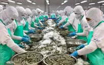 Xuất khẩu thủy sản đối diện nhiều thách thức
