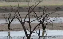 Nhiều nước châu Âu đối mặt với mùa hè hạn hán tồi tệ