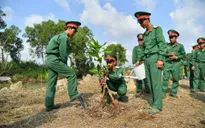 Trồng gần 5.000 cây xanh kỷ niệm Ngày sinh nhật Bác
