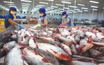 Thủ tướng yêu cầu nghiên cứu gói tín dụng 10.000 tỷ đồng hỗ trợ doanh nghiệp lâm, thủy sản