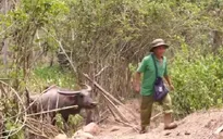 Nỗ lực xóa từng hộ nghèo ở miền Tây Nghệ An