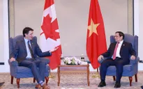 Phấn đấu đưa kim ngạch thương mại Việt Nam - Canada sớm đạt 10 tỷ USD