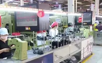 TP Hồ Chí Minh: Hỗ trợ người lao động mất việc