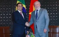 Thủ tướng Phạm Minh Chính gặp Tổng thống Brazil, Tổng thống Ukraine