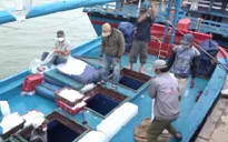 EC lùi lịch kiểm tra về chống khai thác IUU tại Việt Nam