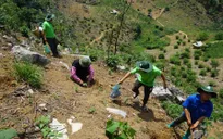 "Vá rừng" trên núi đá tại Vân Hồ