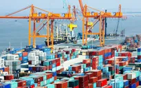 Hàng container qua cảng biển tăng gần gấp đôi sau 7 năm