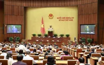 Tăng cường kỷ cương trong xây dựng pháp luật