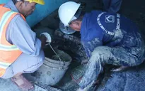 TP Hồ Chí Minh xử lý nghiêm quán ăn thải dầu mỡ làm nghẹt cống