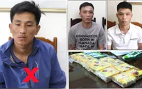 Triệt phá hai đường dây mua bán, vận chuyển trái phép chất ma túy số lượng lớn
