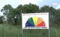Kiên Giang: Tăng cường phòng, chống cháy rừng mùa khô