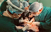 Sở Y tế TP. Hồ Chí Minh: Tuân thủ quy định nhưng không làm gián đoạn ghép gan cho trẻ em