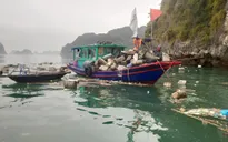 Xử lý dứt điểm các cơ sở nuôi thủy sản trái phép trên Vịnh Hạ Long