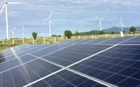 24 doanh nghiệp đồng ý bán điện bằng 50% mức giá trần