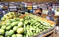 Giảm 2% thuế VAT trong 6 tháng là quá ngắn?
