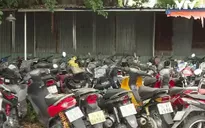 Đấu giá hàng trăm xe máy tại TP Hồ Chí Minh