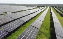 Đầu tư vào năng lượng mặt trời lần đầu tiên vượt dầu mỏ