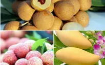 Thúc đẩy tiêu thụ trái cây vào mùa thu hoạch