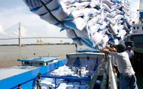 Chiến lược phát triển thị trường xuất khẩu gạo của Việt Nam đến năm 2030