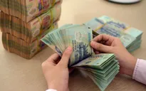 Hạ lãi suất chưa đủ để hỗ trợ kinh tế, cần kết hợp chính sách tài khóa