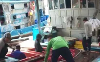 Trách nhiệm người đứng đầu trong ngăn chặn khai thác bất hợp pháp