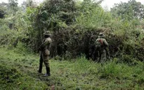 Congo: Các tay súng bắn chết hai nhân viên kiểm lâm ở Công viên quốc gia Virunga