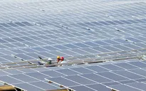EVN công khai thông tin các dự án năng lượng tái tạo chuyển tiếp