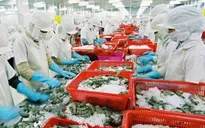 5 tháng, xuất khẩu nông, lâm, thủy sản giảm hơn 11%
