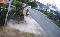 Bị trộm chó chỉ trong... 10 giây