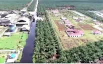 Thị trường hàng hóa chịu tác động do hiện tượng El Nino