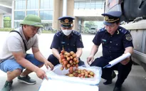 Gần 6.000 tấn vải xuất khẩu qua cửa khẩu Kim Thành