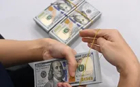 Kiều hối về TP Hồ Chí Minh kỳ vọng tăng 10%/năm