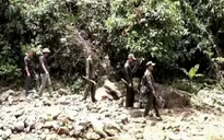 Tăng cường các biện pháp phòng cháy chữa cháy rừng